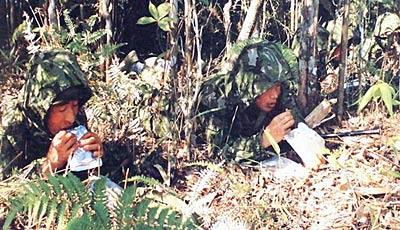 国产野战精品  第3张